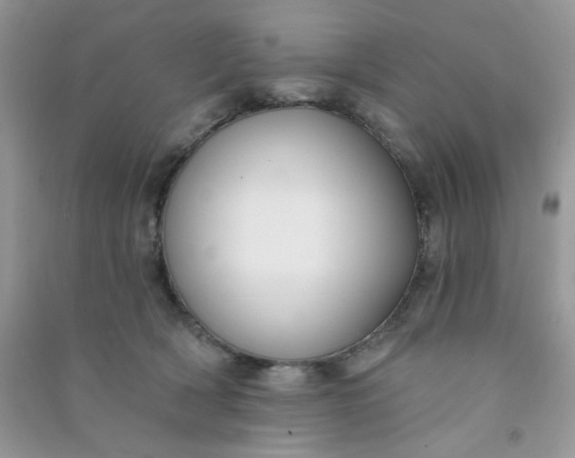 X0000091000418200708161942