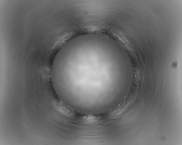 X0000091000419200708161942