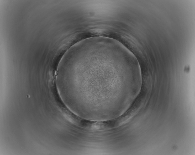 X0000091000420200708161942