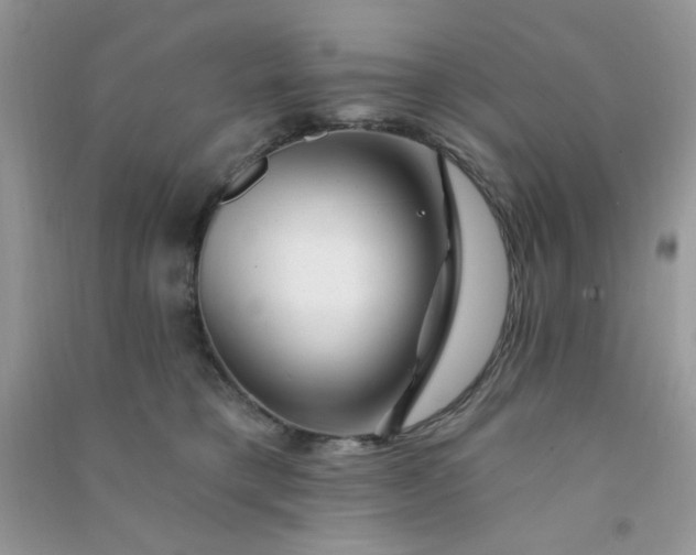 X0000091000421200708161942