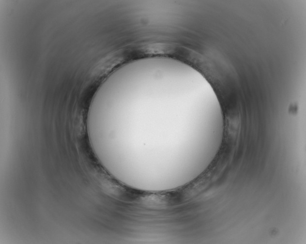 X0000091000422200708161942