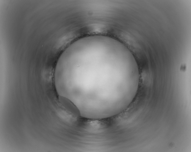 X0000091000423200708161942