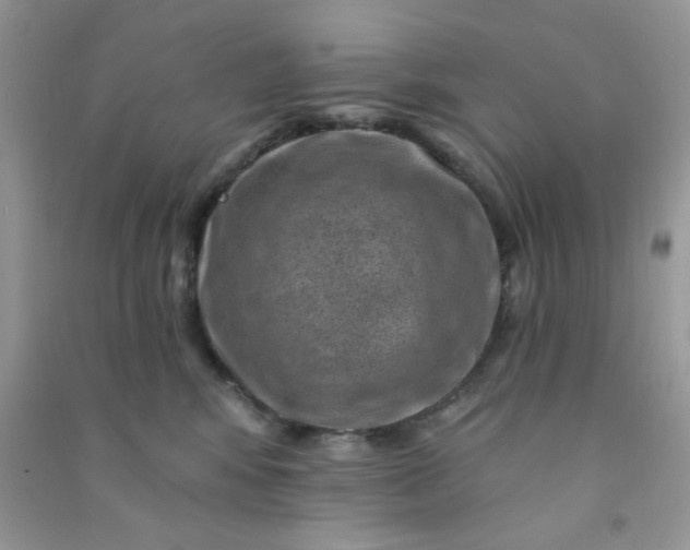 X0000091000424200708161942