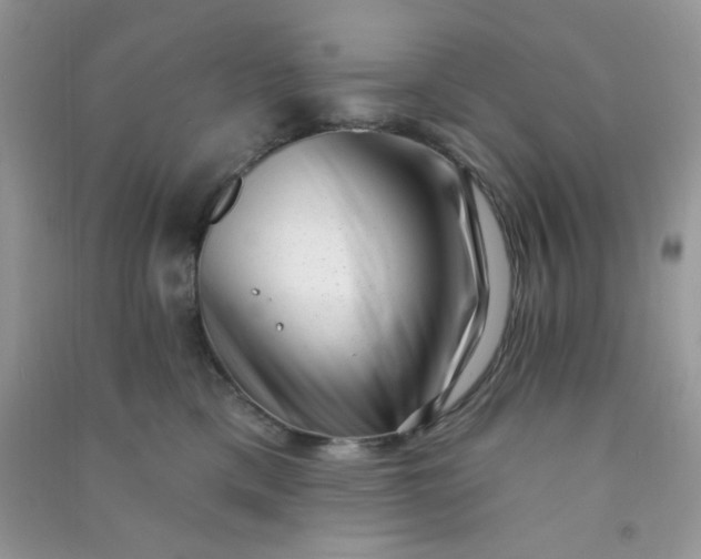 X0000091000425200708161942