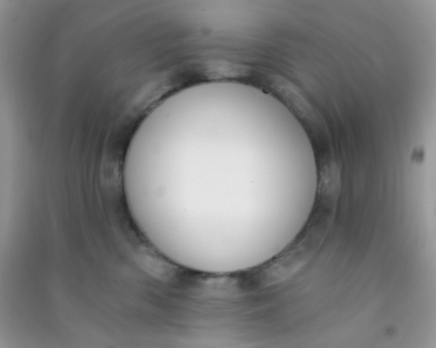 X0000091000426200708161942