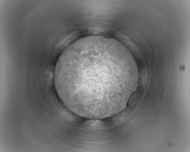 X0000091000427200708161942