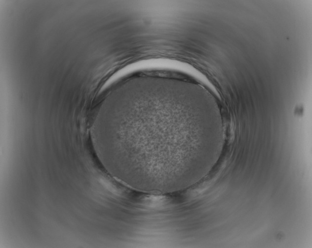 X0000091000428200708161942