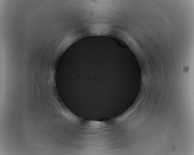 X0000091000429200708161942