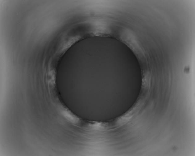 X0000091000430200708161942