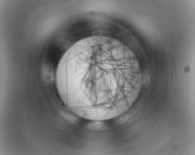 X0000091000431200708161942