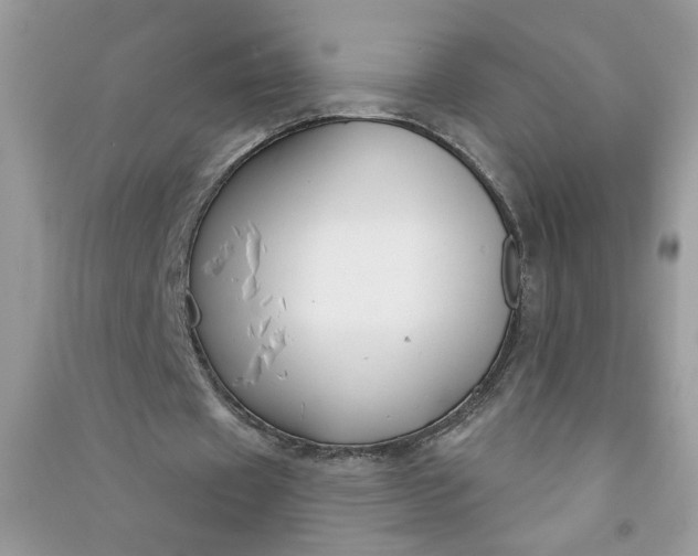 X0000091000433200708161941