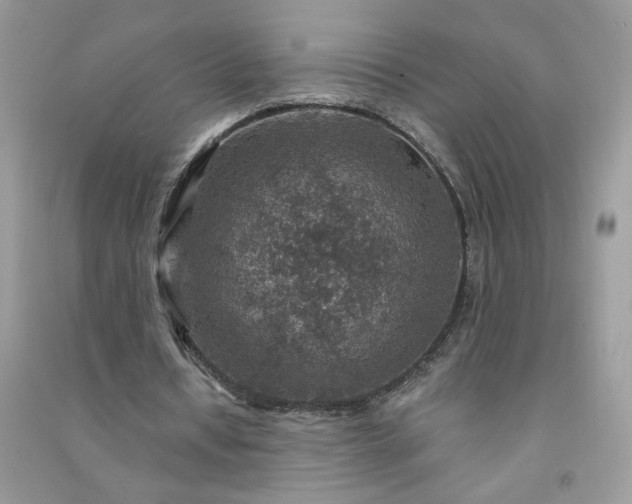 X0000091000434200708161941