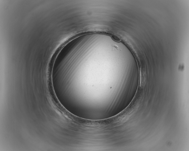 X0000091000435200708161941