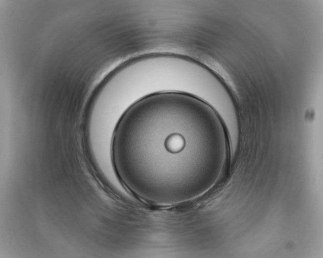 X0000091000436200708161941