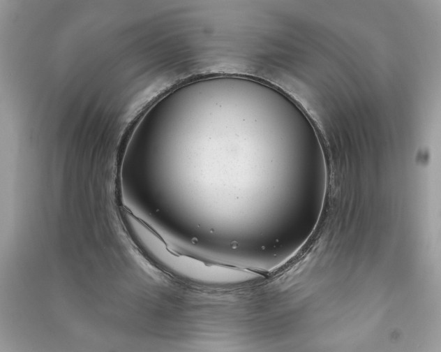 X0000091000437200708161941