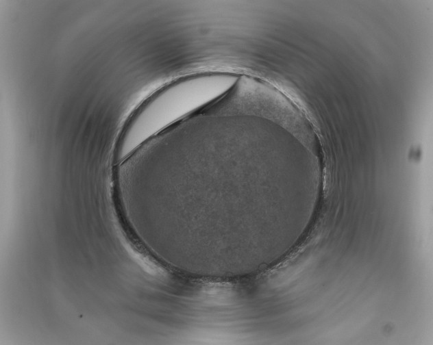 X0000091000438200708161941