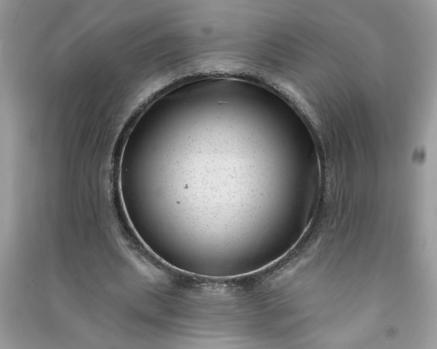 X0000091000439200708161941