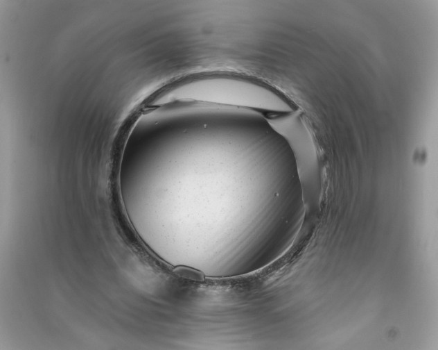 X0000091000440200708161941