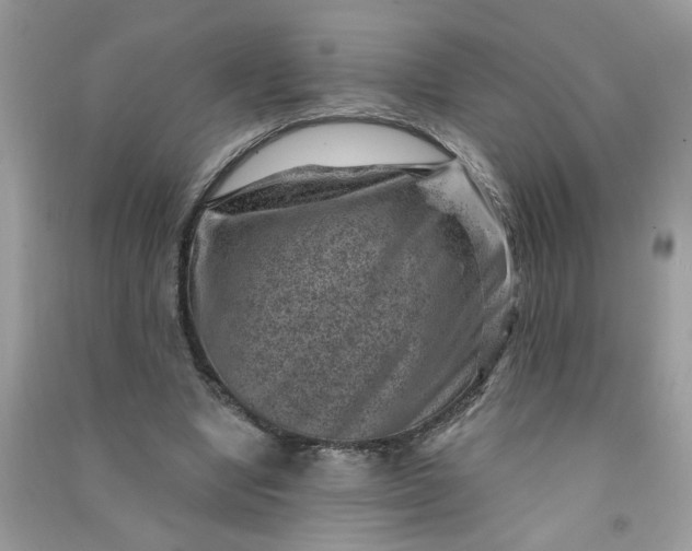 X0000091000442200708161941