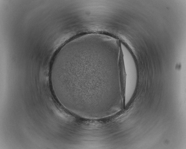 X0000091000443200708161941