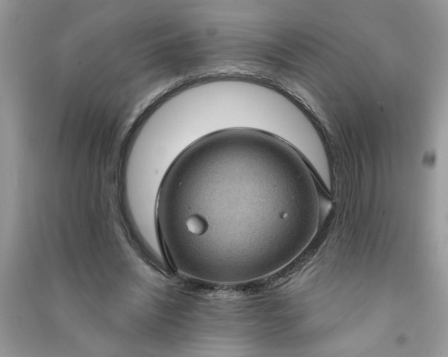 X0000091000444200708161941