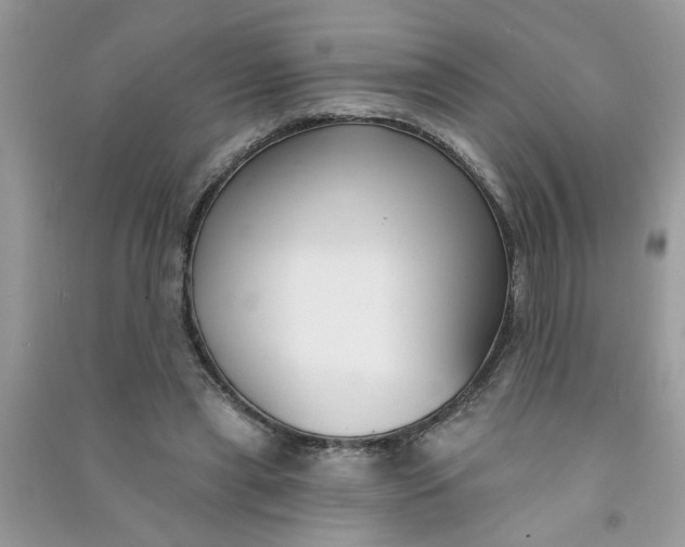 X0000091000445200708161941