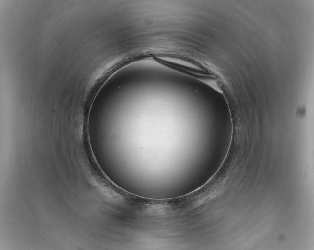 X0000091000446200708161941