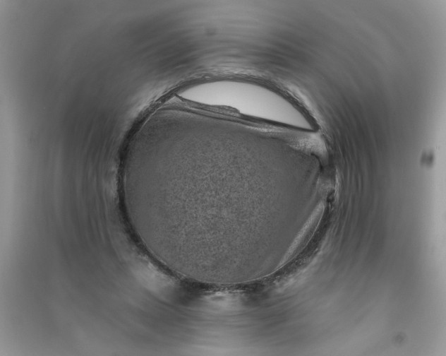 X0000091000447200708161941
