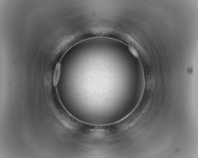 X0000091000448200708161941