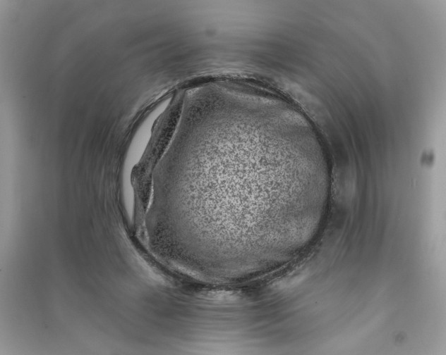 X0000091000449200708161941