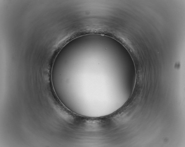 X0000091000450200708161941