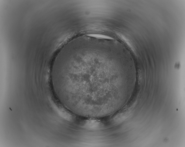 X0000091000451200708161941