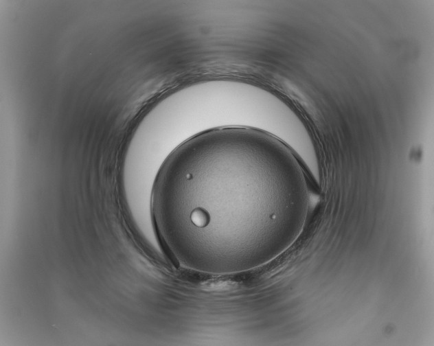 X0000091000452200708161941