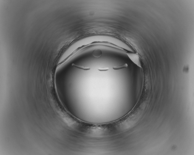 X0000091000453200708161941