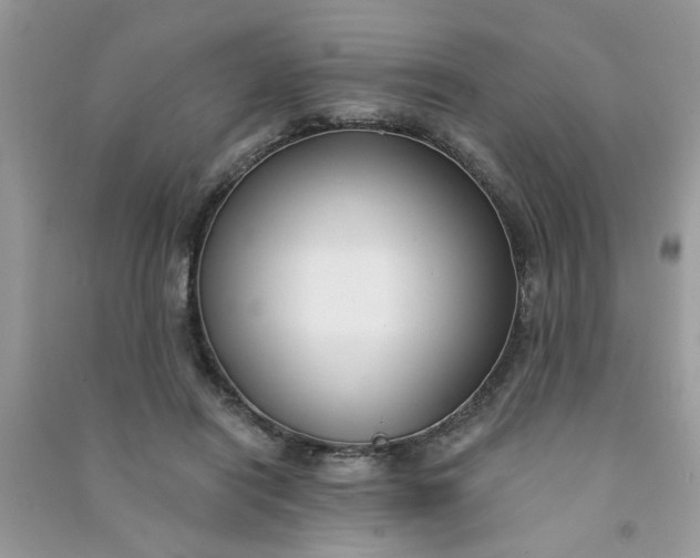 X0000091000454200708161941