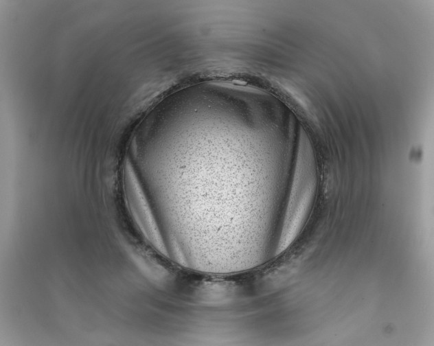 X0000091000455200708161941