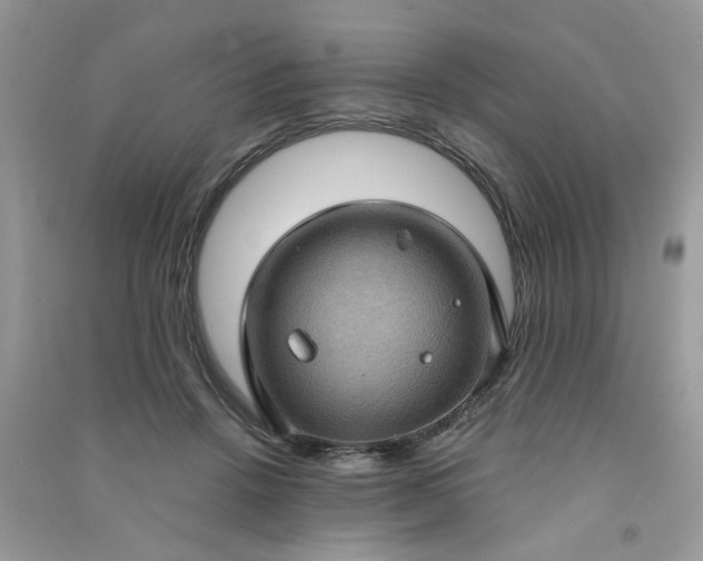 X0000091000456200708161941