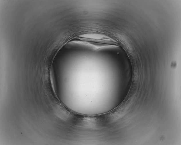 X0000091000457200708161941