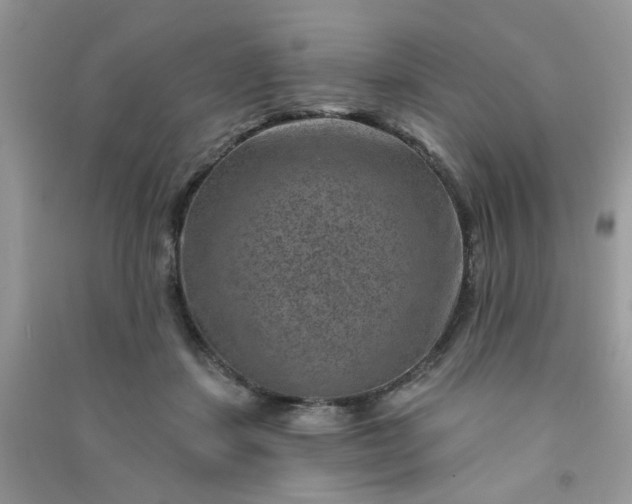 X0000091000459200708161941