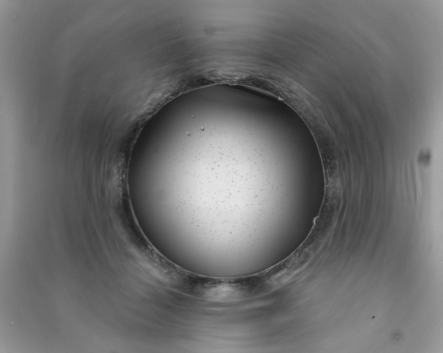 X0000091000460200708161941
