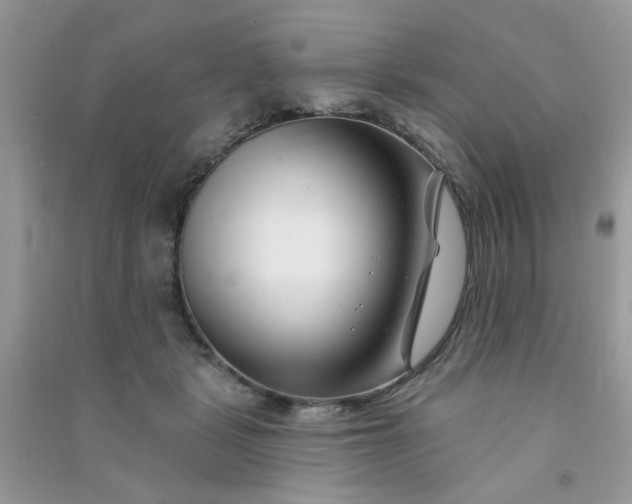 X0000091000461200708161941