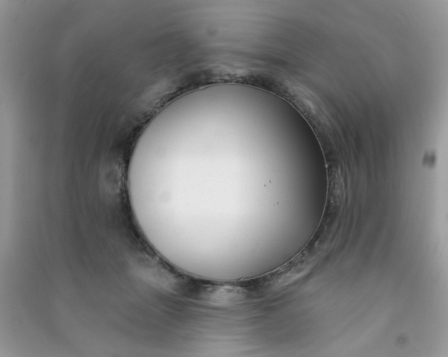 X0000091000463200708161941