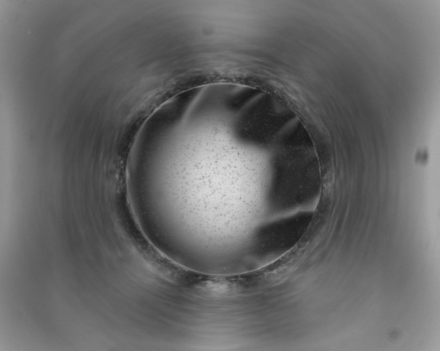 X0000091000464200708161941
