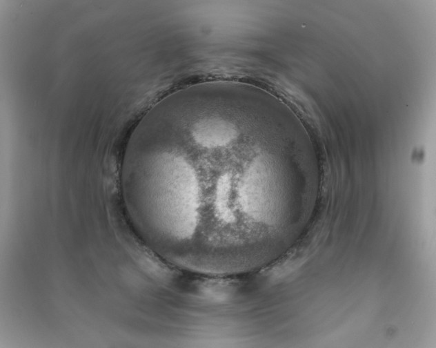 X0000091000465200708161941