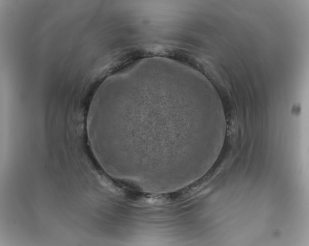 X0000091000466200708161941
