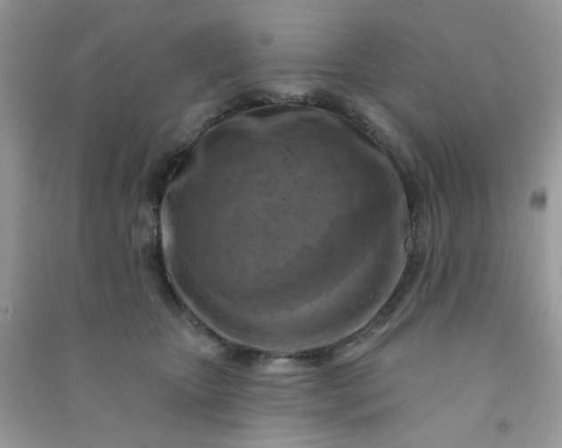 X0000091000467200708161941