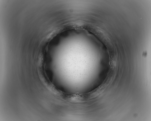 X0000091000468200708161941