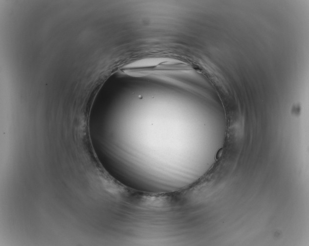 X0000091000469200708161941