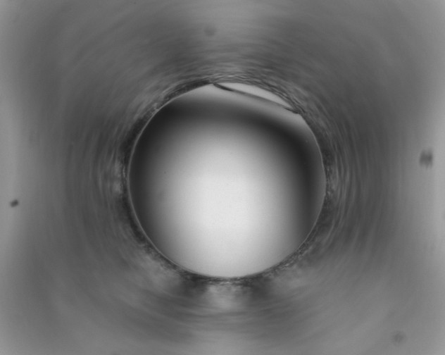 X0000091000470200708161941