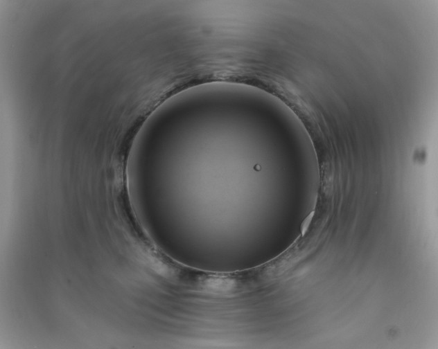X0000091000471200708161941